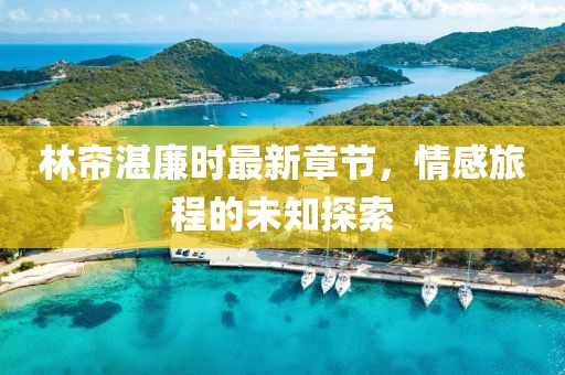 林帘湛廉时最新章节，情感旅程的未知探索