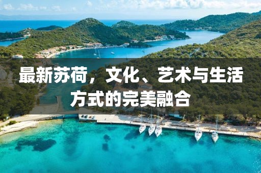 最新苏荷，文化、艺术与生活方式的完美融合