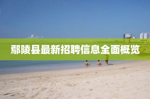 钢材贸易 第206页