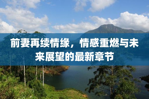 前妻再续情缘，情感重燃与未来展望的最新章节