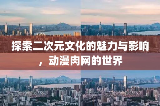 探索二次元文化的魅力与影响，动漫肉网的世界