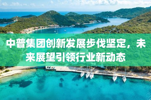 中普集团创新发展步伐坚定，未来展望引领行业新动态