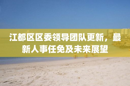 江都区区委领导团队更新，最新人事任免及未来展望
