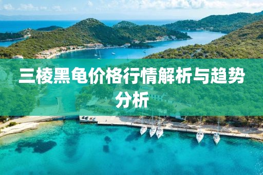 三棱黑龟价格行情解析与趋势分析