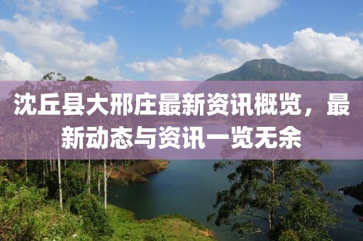 沈丘县大邢庄最新资讯概览，最新动态与资讯一览无余