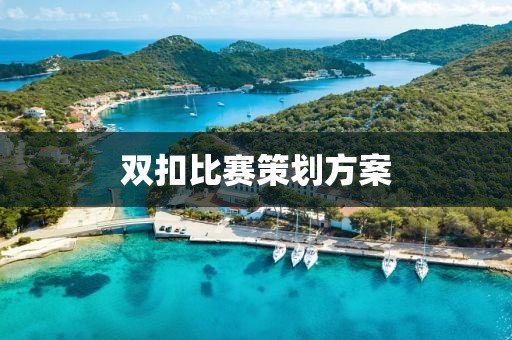 双扣比赛策划方案