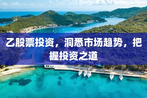 乙股票投资，洞悉市场趋势，把握投资之道