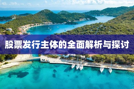 股票发行主体的全面解析与探讨