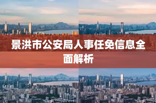 景洪市公安局人事任免信息全面解析