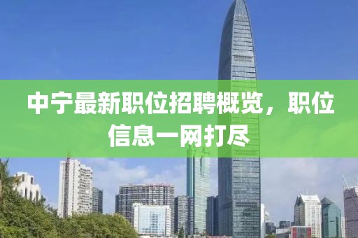 中宁最新职位招聘概览，职位信息一网打尽