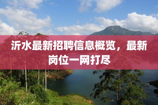 沂水最新招聘信息概览，最新岗位一网打尽