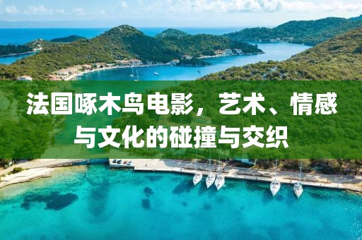 法国啄木鸟电影，艺术、情感与文化的碰撞与交织