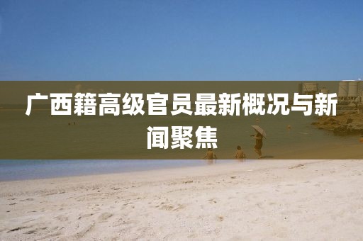 广西籍高级官员最新概况与新闻聚焦