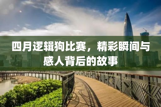 四月逻辑狗比赛，精彩瞬间与感人背后的故事