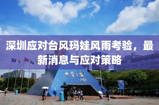 深圳应对台风玛娃风雨考验，最新消息与应对策略