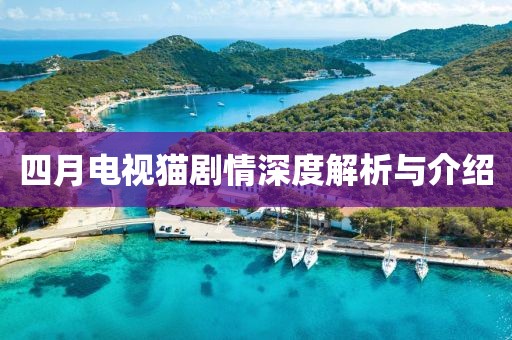 四月电视猫剧情深度解析与介绍
