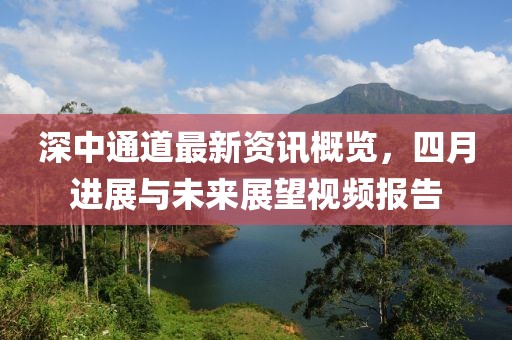 深中通道最新资讯概览，四月进展与未来展望视频报告