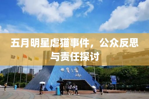 五月明星虐猫事件，公众反思与责任探讨