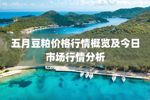 五月豆粕价格行情概览及今日市场行情分析