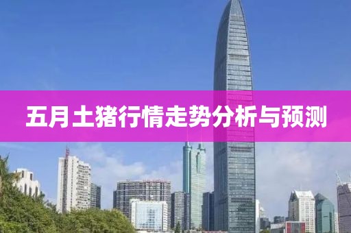 五月土猪行情走势分析与预测