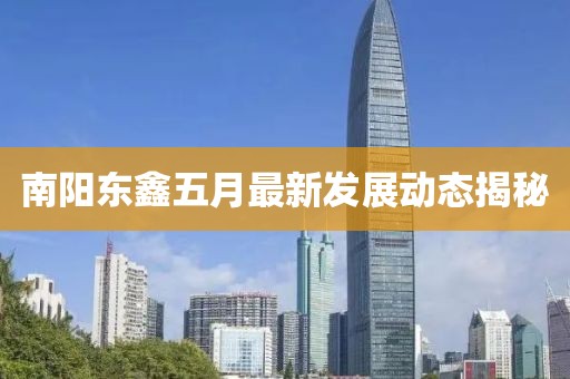 南阳东鑫五月最新发展动态揭秘
