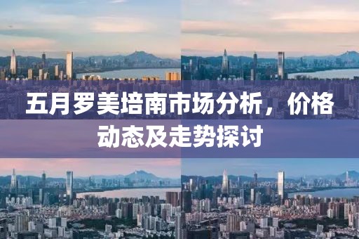 五月罗美培南市场分析，价格动态及走势探讨