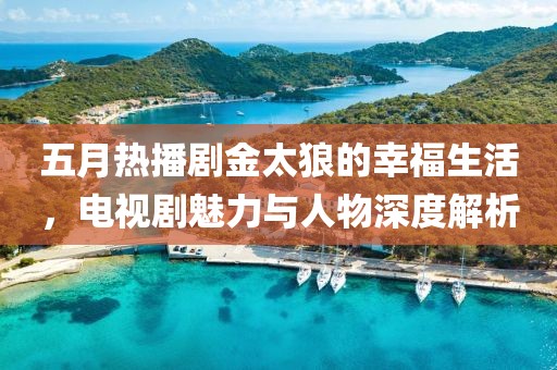 五月热播剧金太狼的幸福生活，电视剧魅力与人物深度解析
