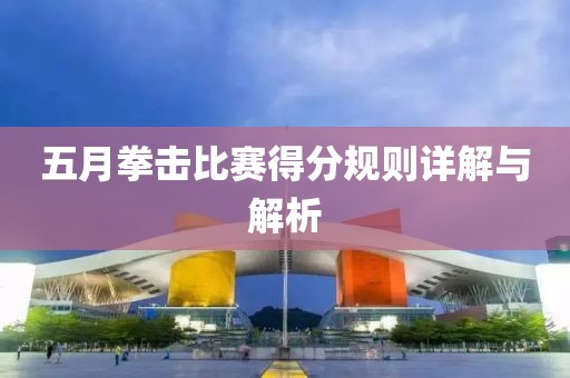 五月拳击比赛得分规则详解与解析