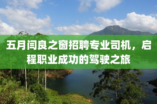 五月闫良之窗招聘专业司机，启程职业成功的驾驶之旅