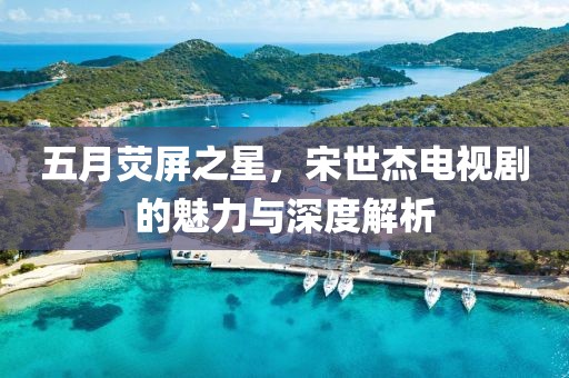 五月荧屏之星，宋世杰电视剧的魅力与深度解析