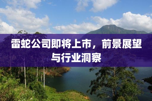 雷蛇公司即将上市，前景展望与行业洞察