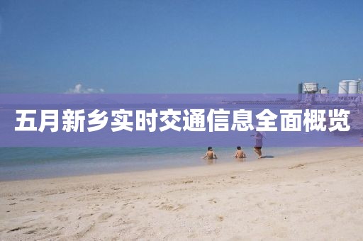 五月新乡实时交通信息全面概览