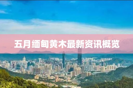 五月缅甸黄木最新资讯概览