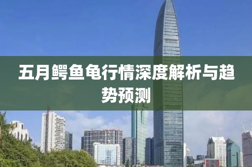 五月鳄鱼龟行情深度解析与趋势预测
