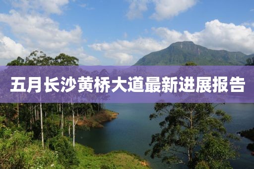 五月长沙黄桥大道最新进展报告
