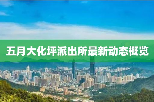 五月大化坪派出所最新动态概览