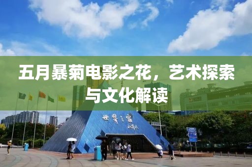 五月暴菊电影之花，艺术探索与文化解读