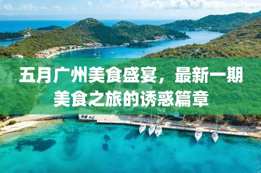 五月广州美食盛宴，最新一期美食之旅的诱惑篇章