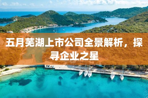 五月芜湖上市公司全景解析，探寻企业之星