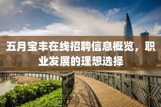 五月宝丰在线招聘信息概览，职业发展的理想选择