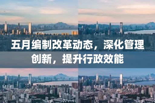 五月编制改革动态，深化管理创新，提升行政效能