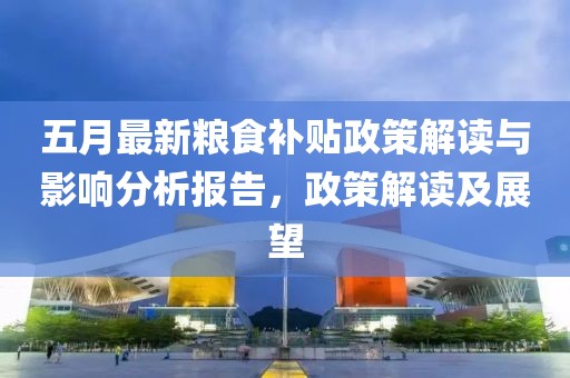 五月最新粮食补贴政策解读与影响分析报告，政策解读及展望