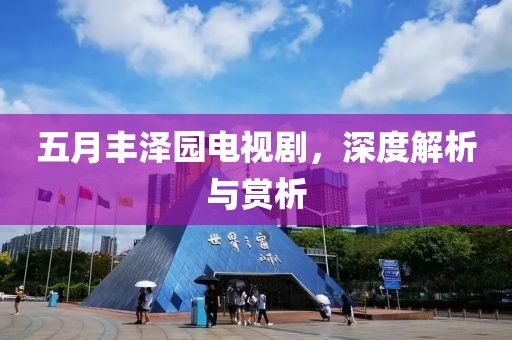 五月丰泽园电视剧，深度解析与赏析