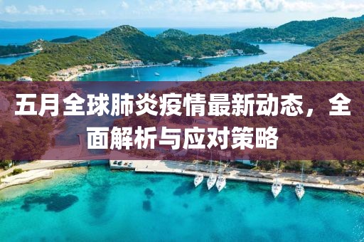 五月全球肺炎疫情最新动态，全面解析与应对策略
