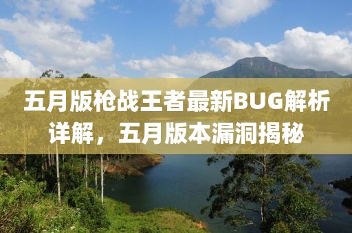 五月版枪战王者最新BUG解析详解，五月版本漏洞揭秘