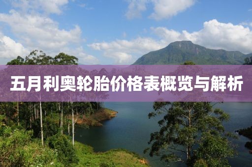 五月利奥轮胎价格表概览与解析