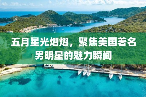 五月星光熠熠，聚焦美国著名男明星的魅力瞬间
