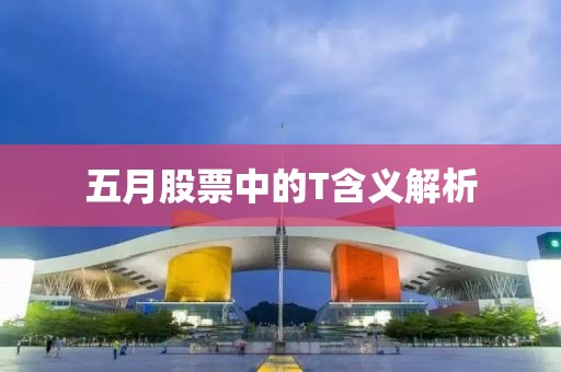 五月股票中的T含义解析