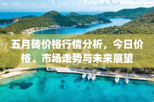 五月砖价格行情分析，今日价格、市场走势与未来展望