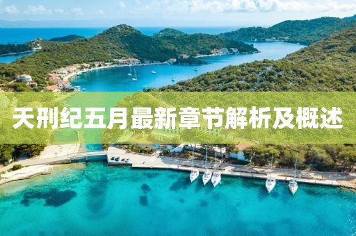 天刑纪五月最新章节解析及概述